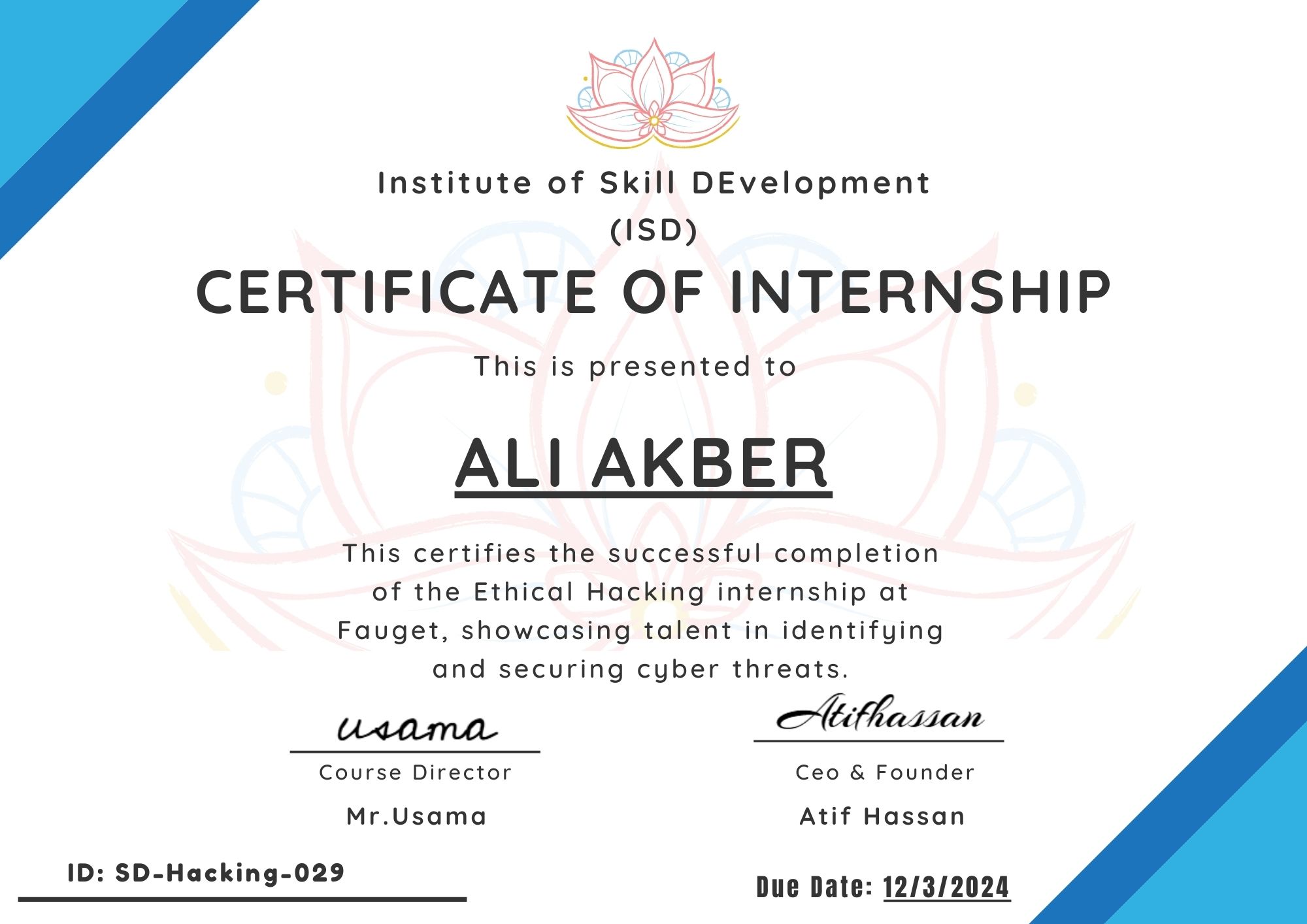Internship – ISD